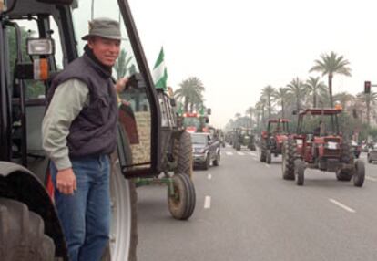 Los tractores de COAG se dirigían ayer por una avenida sevillana hacia la sede de la Delegación del Gobierno.