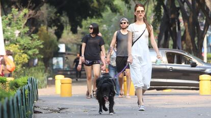 Una mujer pasea a su mascota en Ciudad de México, el 29 de marzo.