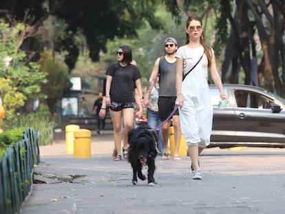 Una mujer pasea a su mascota en Ciudad de México, el 29 de marzo.