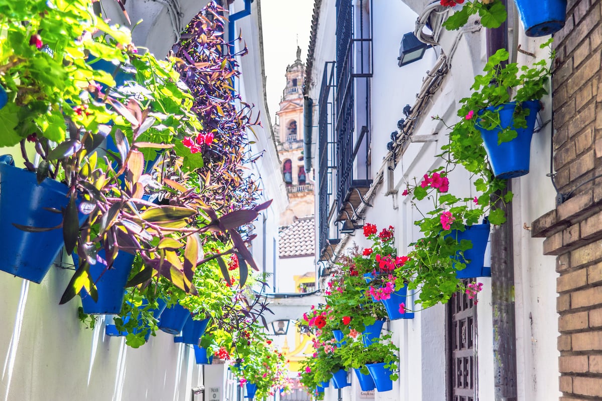 Córdoba, los prodigios de una ciudad que rebosa vida