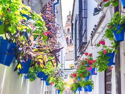 Córdoba, los prodigios de una ciudad que rebosa vida