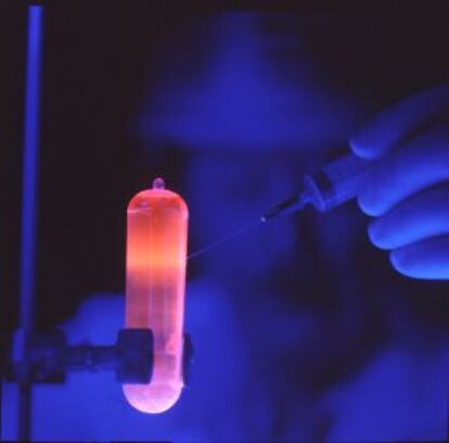 ADN purificado, bajo una luz ultravioleta.