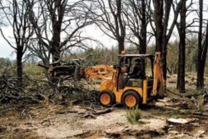 Las constructoras hacen caja con la prevención de incendios