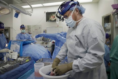 Dr. Robert Montgomery, director of NYU Langone’s transplant institute, prepares a pig kidney for transplant into a brain-dead man in New York on July 14, 2023.