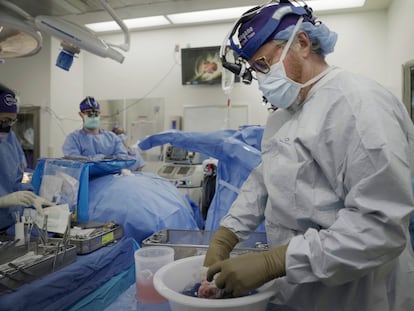 Dr. Robert Montgomery, director of NYU Langone’s transplant institute, prepares a pig kidney for transplant into a brain-dead man in New York on July 14, 2023.