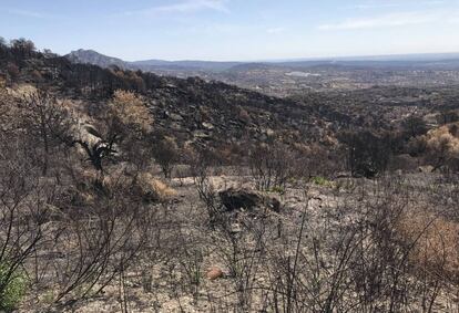 Paraje de Cadalso de los Vidrios, destrozado por las llamas.