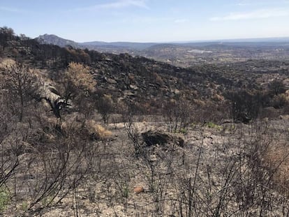 Paraje de Cadalso de los Vidrios, destrozado por las llamas.