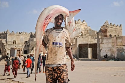 Un pescador somalí carga con un tiburón martillo en el mercado Jamarweyne, cerca del puerto de Mogadiscio (Somalia).