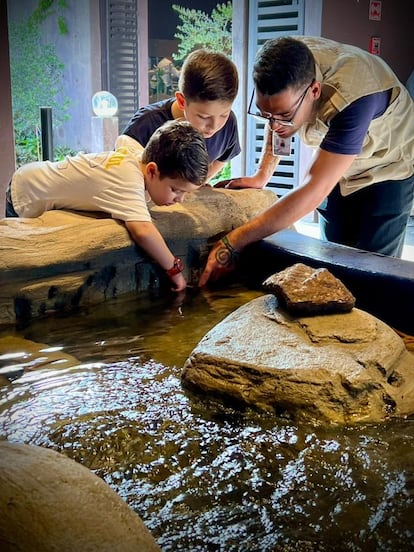 acuario de Mazatlán