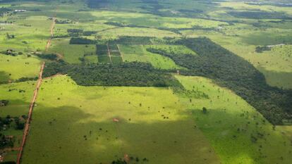 A Amazônia, por exemplo, tem cada vez mais descampados