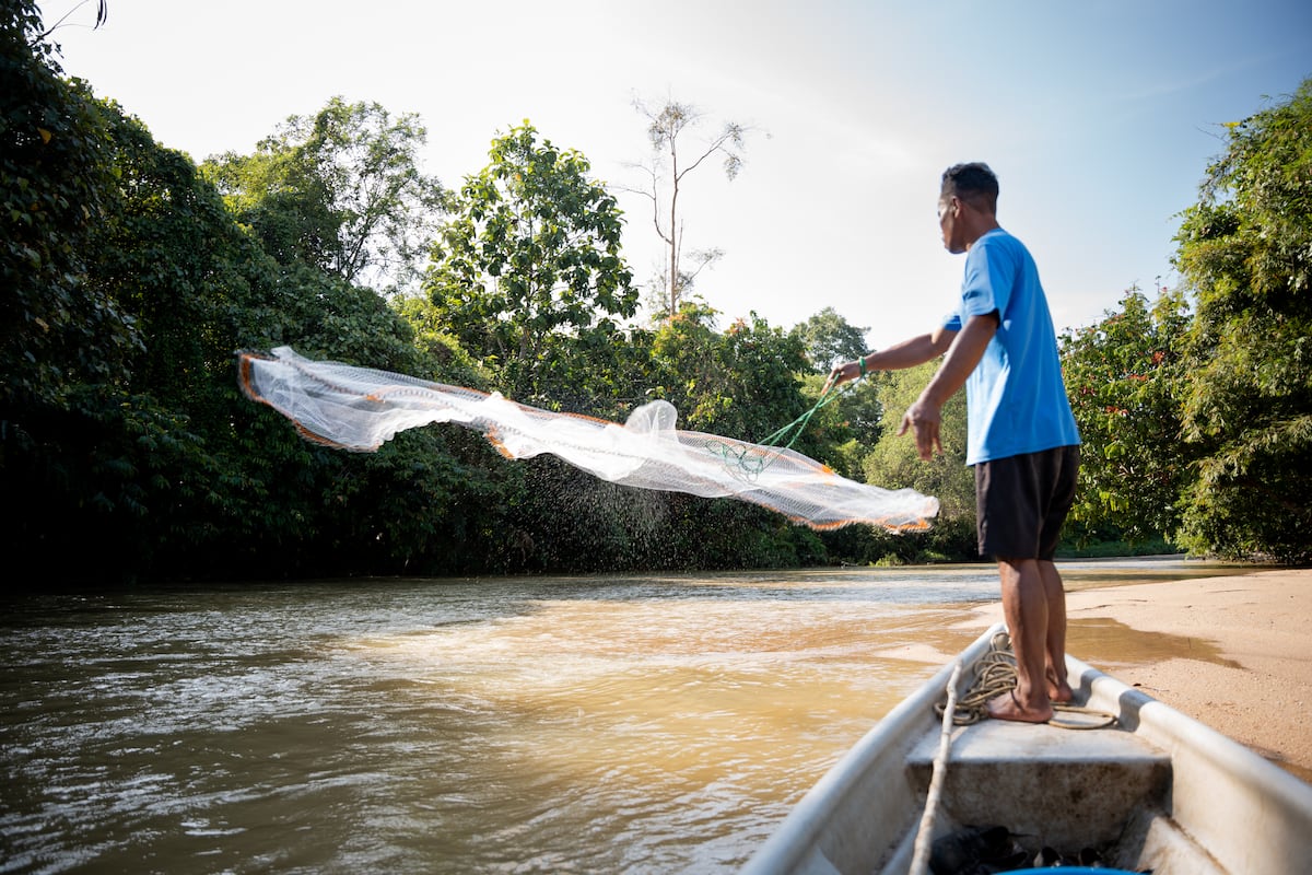 Los indígenas semai luchan contra la fiebre de las tierras raras en Malasia
