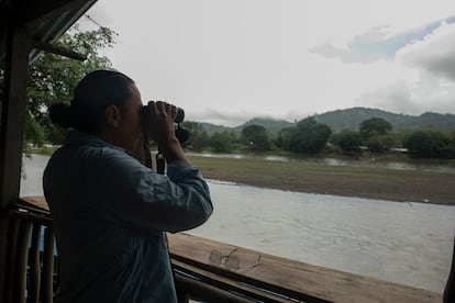 Un voluntario observa las zonas deforestadas.