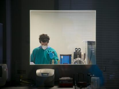 Un investigador en un laboratorio de la Facultad de Veterinaria de la Universidad Complutense.