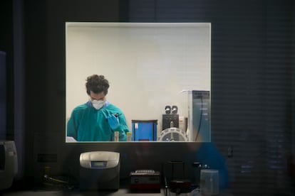 Un investigador en un laboratorio de la Facultad de Veterinaria de la Universidad Complutense.