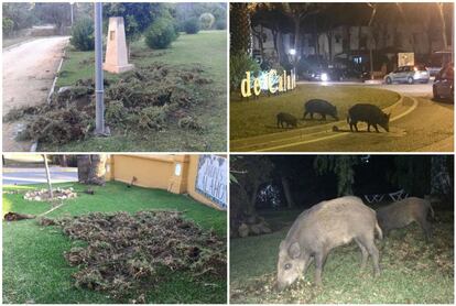 Imágenes cedidas por los vecinos de Sitio de Calahonda, Mijas.