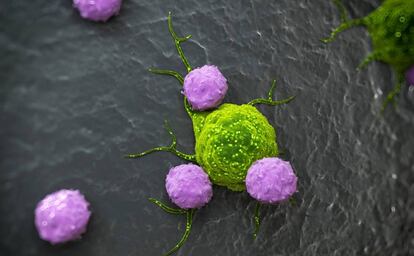 Recreación artística de linfocitos atacando una célula cancerígena.