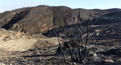 Parte de la Sierra de Gádor en Almería afectada por un incendio.