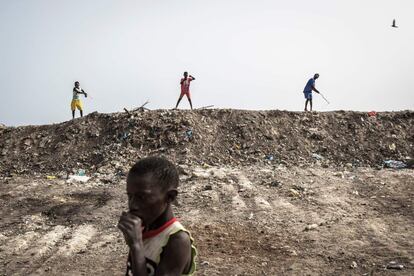 Unos niños intentan atrapar golondrinas, que son atraídas por las moscas en la basura apilada a lo largo de la costa de Bargny, julio de 2020.