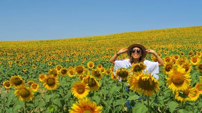 Una turista japonesa en un campo de girasoles de Carmona (Sevilla).