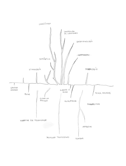 Inspiración física. Ilustración de David Byrne para su libro 'Arboretum'