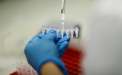 Un laboratorio de análisis genético.