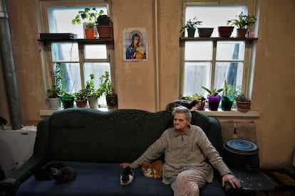 La abuela Nina, de 76 años, junto a algunos de los 25 gatos que han acogido de vecinos que se han marchado del pueblo de Makarove.