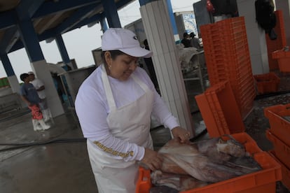 Mirtha inspecciona la pesca del día en el muelle de Ancón, donde ahora trabaja formalizada.