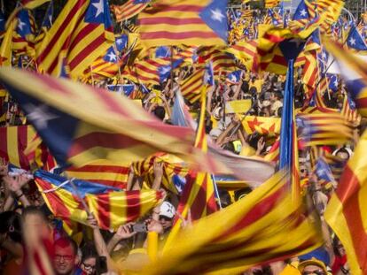 Cientos de manifestantes con banderas esteladas durante la manifestación que se celebró el día de la Diada.