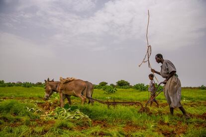 Un agricultor aprovecha la época de lluvias para labrar la tierra cerca de la localidad de Nema, al sur de Mauritania. Las técnicas agrícolas siguen siendo rudimentarias y la producción insuficiente para garantizar una alimentación adecuada en calidad y cantidad.