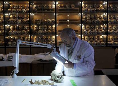 José Antonio Sánchez, director del museo en la Facultad de Medicina.