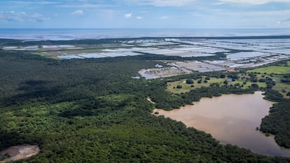 Bahía de Parita (Panamá) en diciembre de 2024.