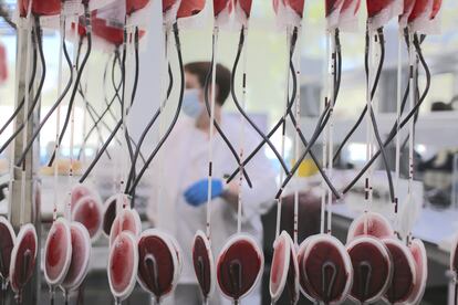 Bolsas de sangre del Centro de Transfusión de la Comunidad de Madrid, el 18 de mayo de 2021.