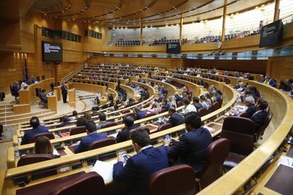 El pleno del Senado durante la defensa de la moción por el senador Fernando Martínez.