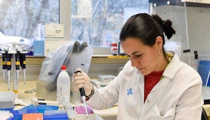 Una investigadora manipula una mostra als laboratoris d'IrsiCaixa.