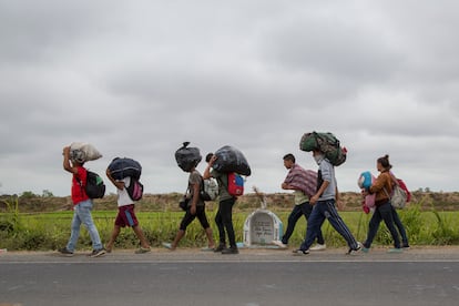 Un grupo de venezolanos, en la carretera panamericana de camino hacia Lima en agosto de 2018.