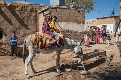 Un burro bebe agua en una aldea de la provincia de Hasake. El pueblo acogió a docenas de personas desplazadas de Ras al Ayn durante la ofensiva turca de octubre de 2019.