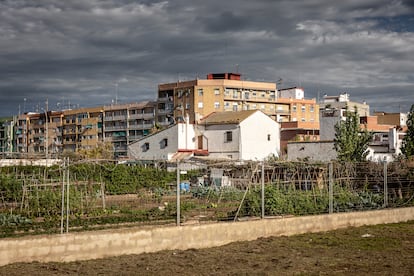 La Malvarrosa es la unión entre el mar y la huerta. Las acequias que la rodeaban y el  terreno hacían que esta zona fuera extremadamente húmeda y propicia para la agricultura, hoy todavía podemos encontrar  pequeñas parcelas de cultivo.
FOTO: Mònica Torres EL PAÍS