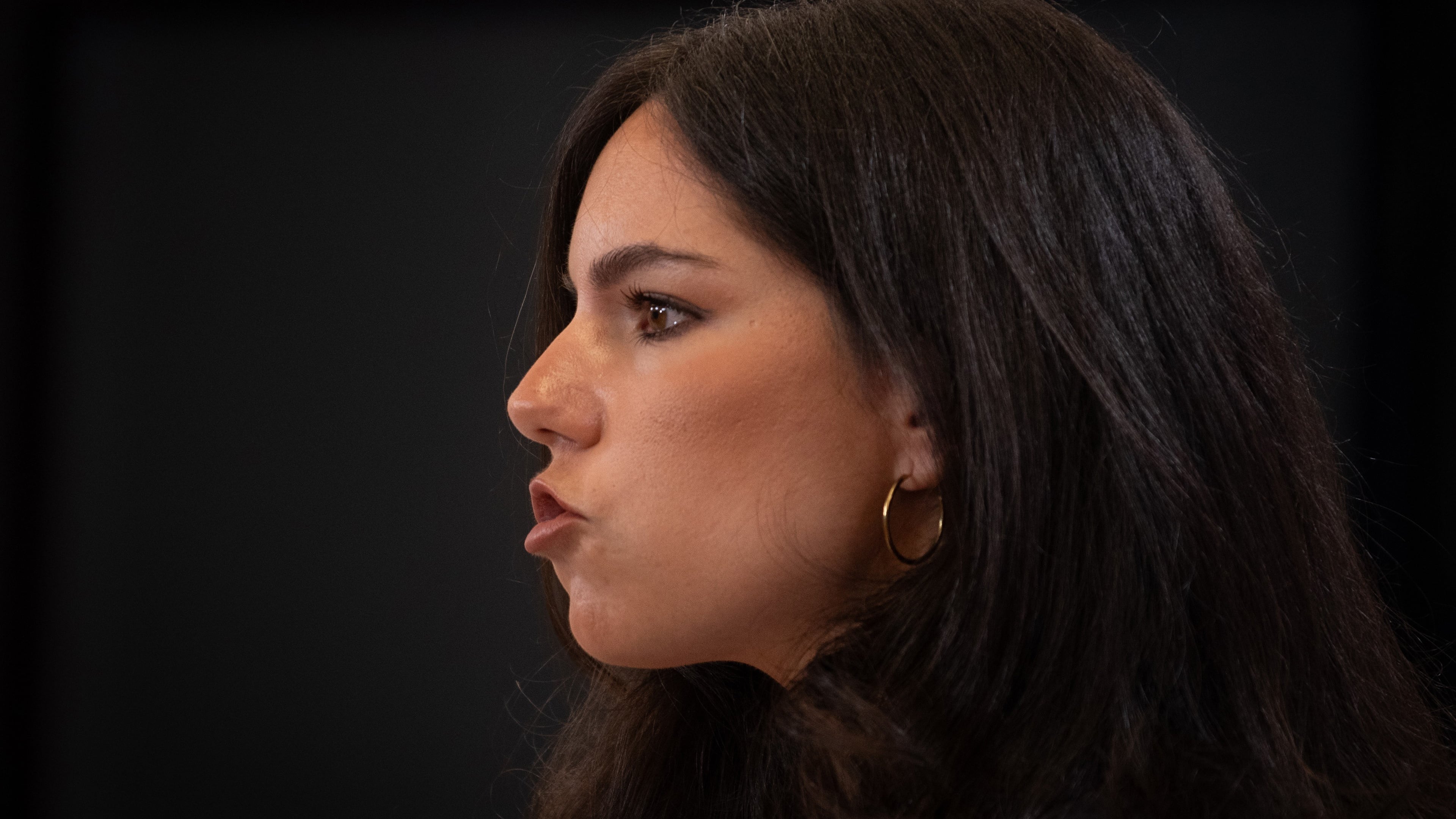 Vox pide al Supremo que suspenda también el voto a los descendientes de exiliados