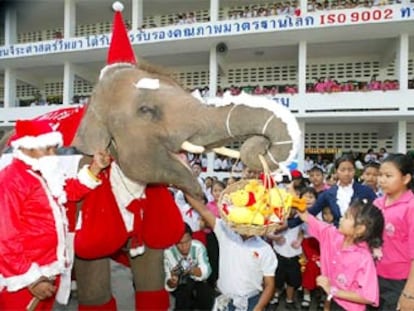Un elefante vestido de Santa Claus