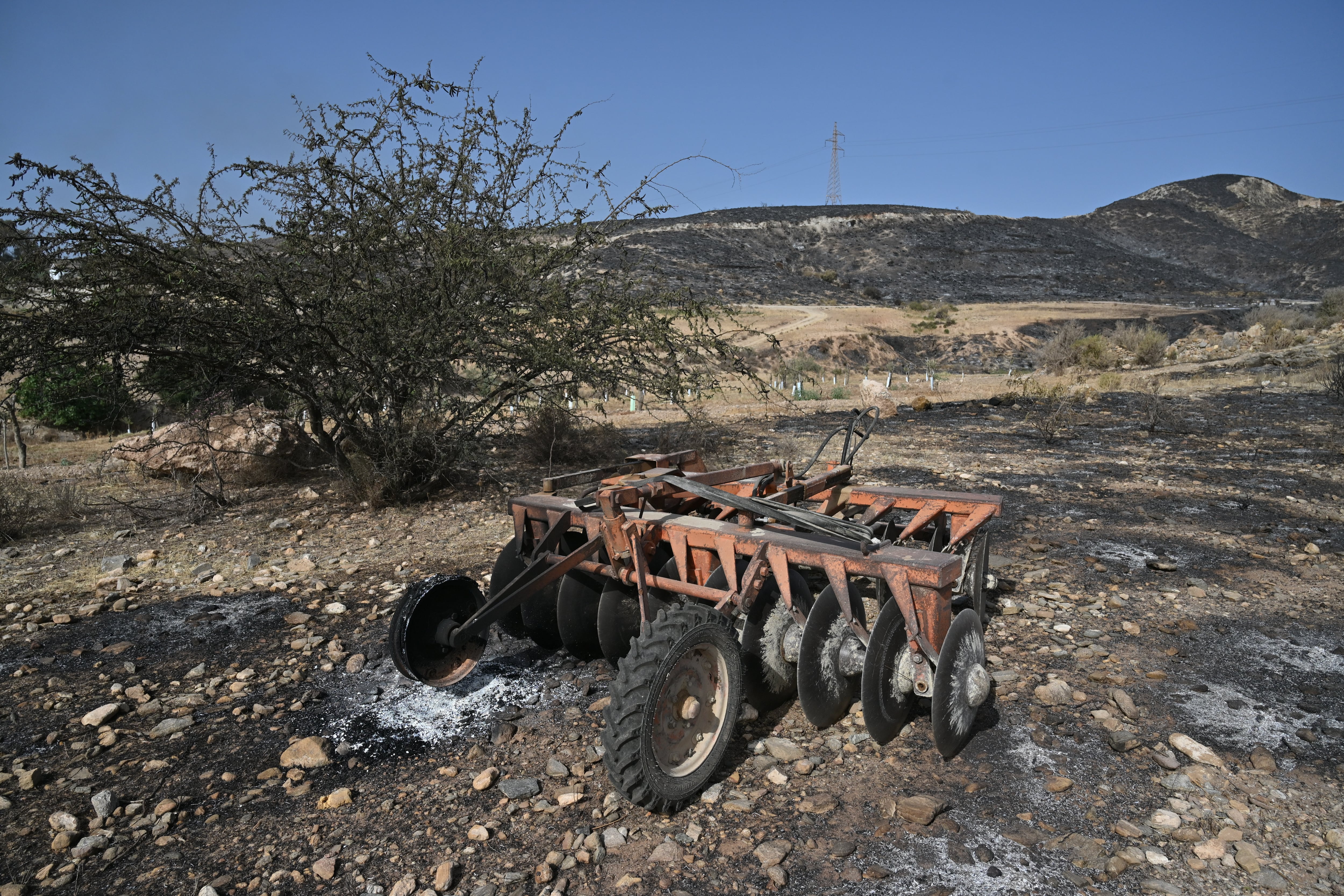 Últimas noticias del incendio forestal de Los Gallardos (Almería), en directo | El fuego ha afectado ya 6.600 hectáreas y evoluciona “relativamente bien”