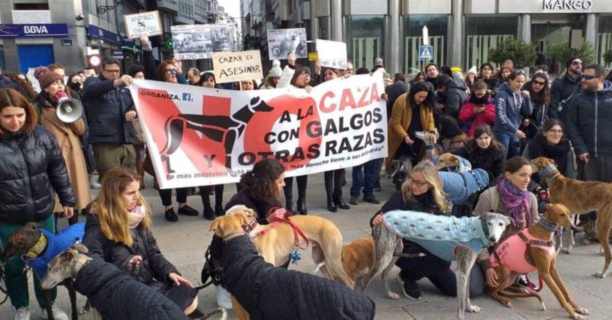 Cientos de personas claman contra la caza con perros en Galicia ...