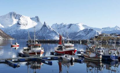 Barcos de pesca del skrei en el puerto de Husoya, en Noruega.