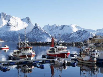 Barcos de pesca del skrei en el puerto de Husoya, en Noruega.