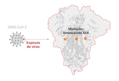 infográficos mutação