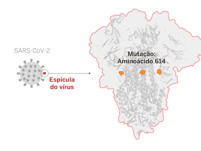 A enigmática mutação do coronavírus que agora domina o planeta