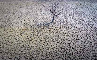 Pantano de Sau, al norte de Barcelona, el pasado marzo.