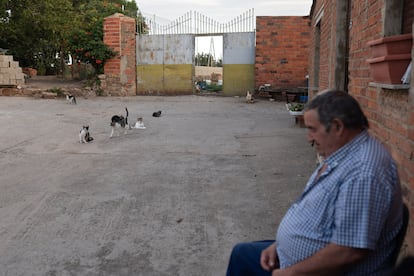 Un vecino de Piedrahita de Castro sentado en una calle rodeado de gatos, este miércoles. 