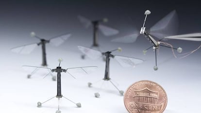 El último prototipo de RoboBee elaborado por la Universidad de Harvard.