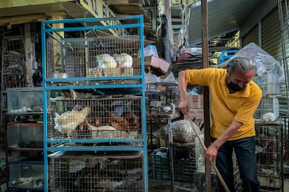 Un vendedor de animales limpia su local desspués del incencio el pasado 4 de noviembre en el mercado de Sonora.