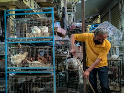 Un vendedor de animales limpia su local desspués del incencio el pasado 4 de noviembre en el mercado de Sonora.